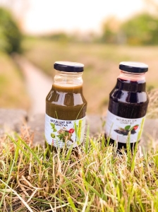 W spółce z naturą sok NFC z pokrzywy 100% - sok w butelce
