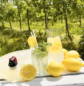 W spółce z naturą lemoniada cytrynowa - sok w szklance