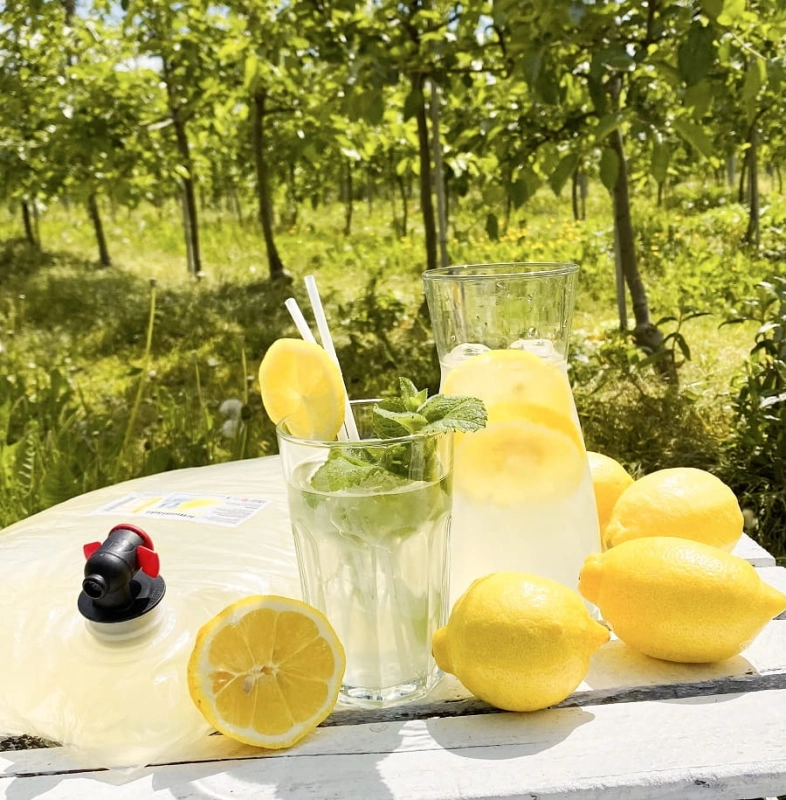 W spółce z naturą lemoniada cytrynowa - sok w szklance