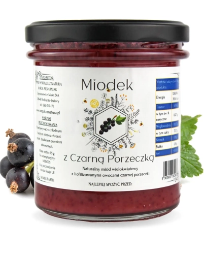 W spółce z naturą miód z czarną porzeczką - słoik 430 g
